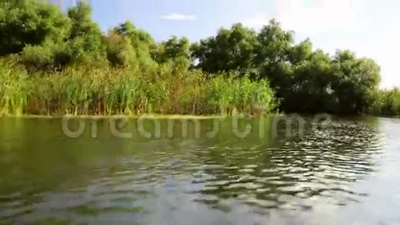 多瑙河三角洲湿地在运动视频的预览图