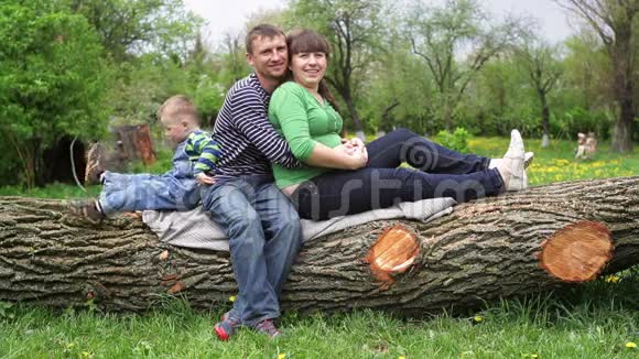 一家人坐在树上视频的预览图