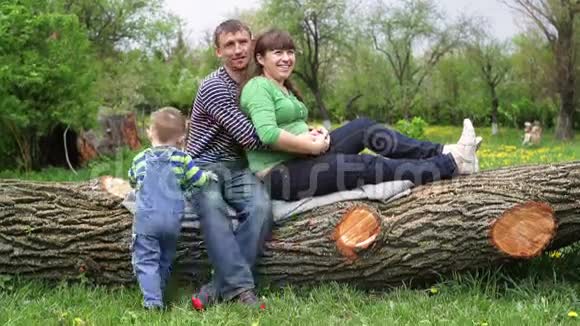 一家人坐在树上视频的预览图