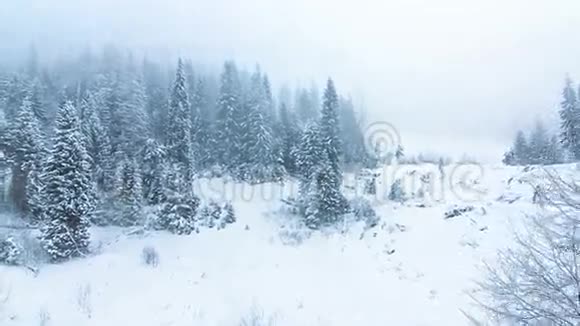 冬山景观高刺和雪视频的预览图
