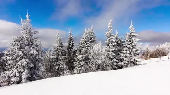 冬季景观高刺和雪山视频的预览图