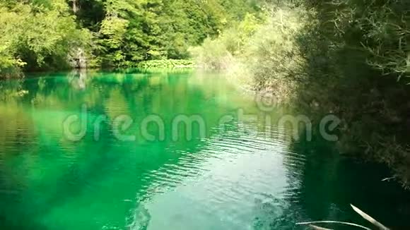 克罗地亚普利特维兹国家公园的湖视频的预览图