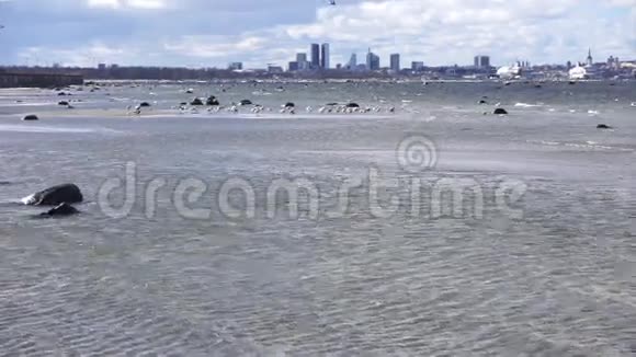 塔林波罗的海风景视频的预览图