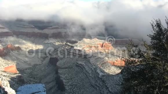 白雪覆盖大峡谷视频的预览图