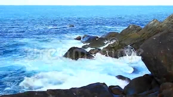 鲨鱼湾国家公园托尔托拉视频的预览图