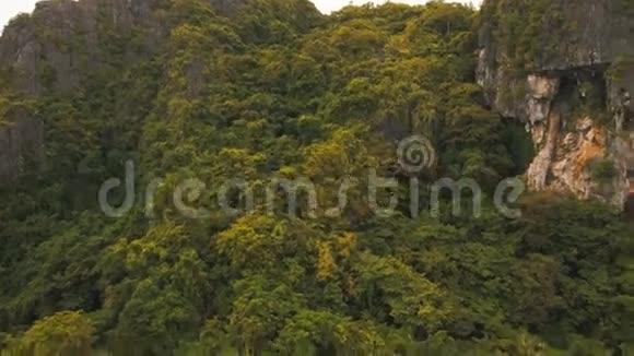山地热带雨林鸟瞰视频的预览图