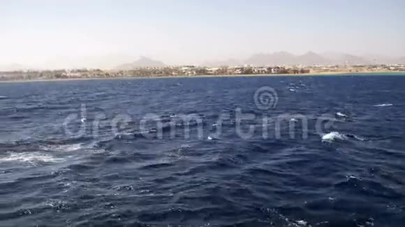 在红海的游船之旅欣赏埃及西奈半岛海岸视频的预览图