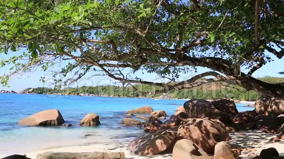 安塞拉齐奥海滩上美丽的印度洋视频的预览图