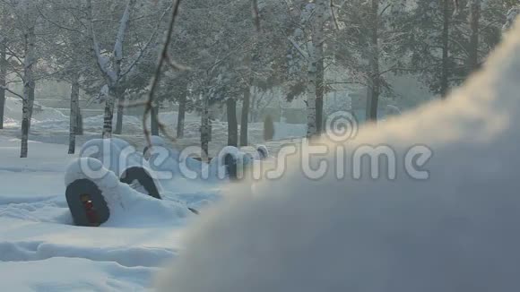 新西伯利亚冬季公园视频的预览图