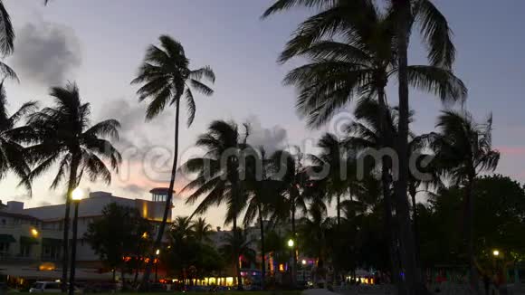 迈阿密南海海滩日落海洋全景4k佛罗里达美国视频的预览图