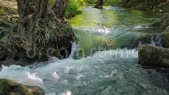 河流在森林中流动视频的预览图