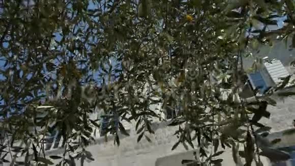 白色百叶窗黑山的门面房视频的预览图