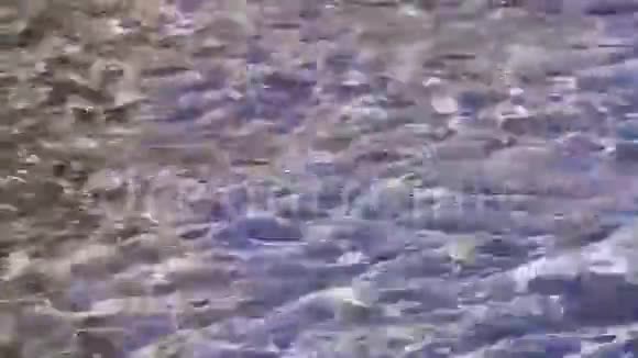 海水晶清澈的碧水背景视频的预览图