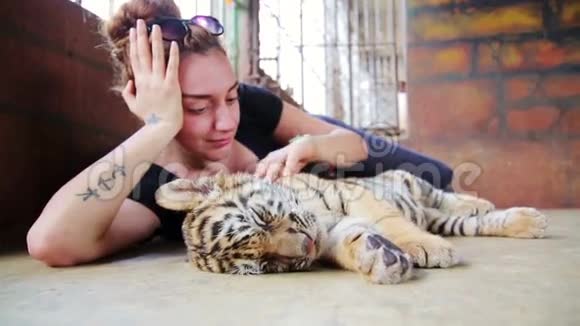 泰国曼谷游客玩虎宝宝庙视频的预览图