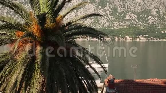 黑山亚得里亚海Kotor湾的游艇船只和船只视频的预览图