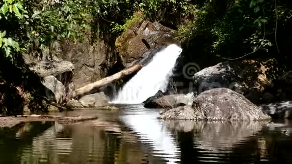 热带雨林中的瀑布视频的预览图