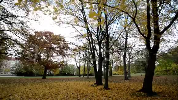 11月柏林克吕兹伯格的维托里亚帕克的秋天印象视频的预览图