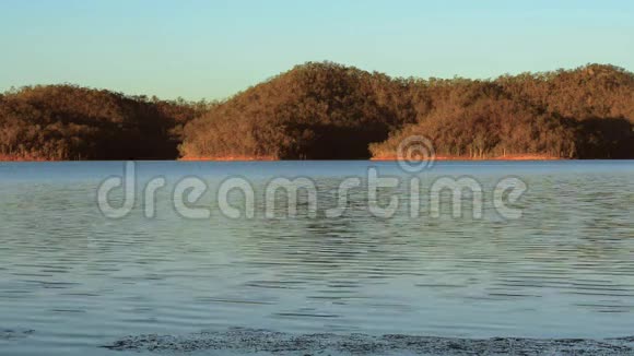 昆士兰州维文霍湖白天视频的预览图