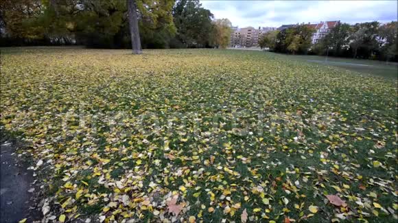 2016年11月德国柏林克吕兹伯格的Viktoriapark秋景视频的预览图