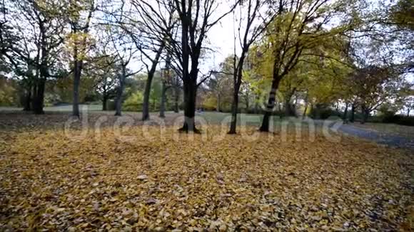 2016年11月德国柏林克吕兹伯格的Viktoriapark秋景视频的预览图