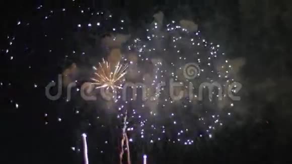 五彩缤纷美丽的烟花在夜空中爆炸视频的预览图