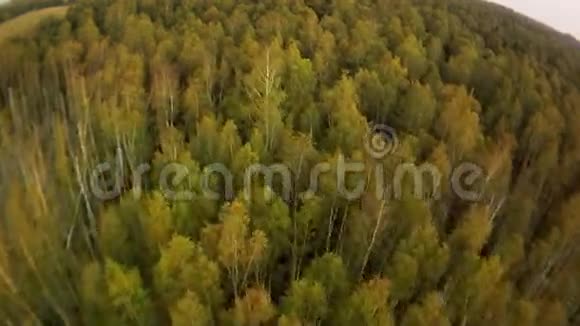 森林景观鸟瞰图视频的预览图