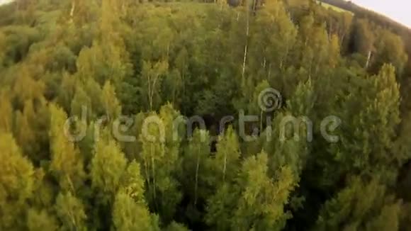森林景观鸟瞰图视频的预览图