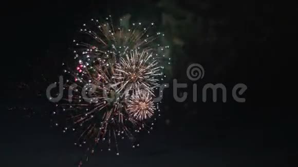 五彩缤纷美丽的烟花在夜空中爆炸视频的预览图