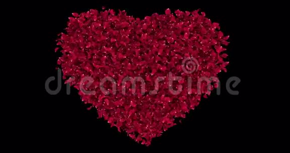 浪漫的红玫瑰花花瓣在心形阿尔法马特环4k视频的预览图