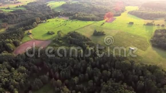 夏天在绿林之上飞翔视频的预览图
