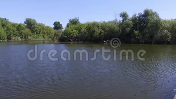 蓝色的夏河具有森林性质的湖泊夏季景观视频的预览图