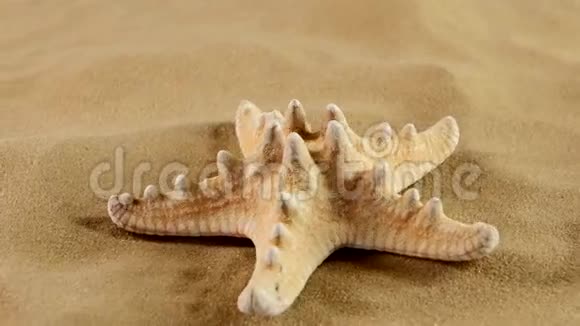 沙上的海星旋转视频的预览图
