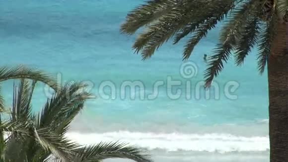 棕榈树构成的蓝色海浪视频的预览图