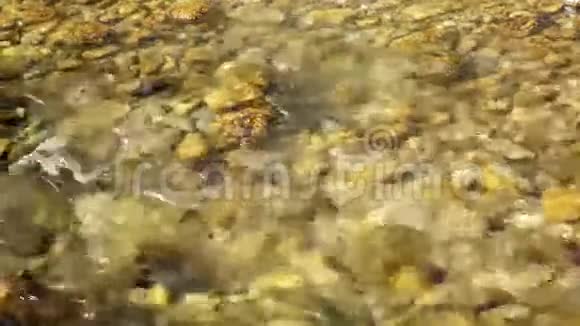 山水同山河视频的预览图