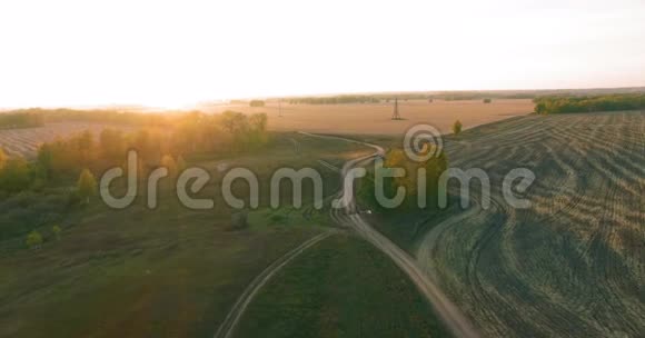 超高清4K鸟瞰图空中飞越黄色的田园和土路视频的预览图