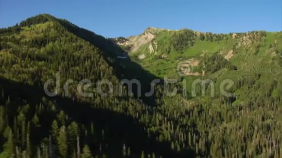 绿色森林和山脉的空中拍摄视频的预览图