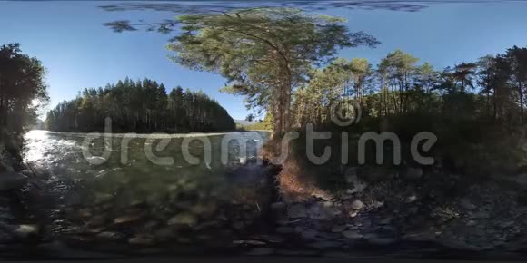 4K360VR虚拟现实河流在这片美丽的森林中的岩石上流动视频的预览图