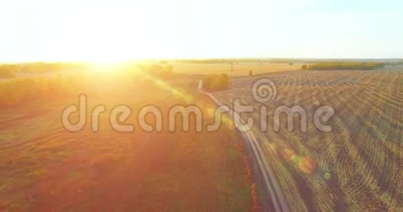 超高清4K鸟瞰图空中飞越黄色的田园和土路视频的预览图