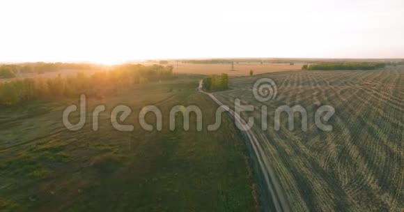 超高清4K鸟瞰图空中飞越黄色的田园和土路视频的预览图