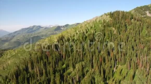 绿色森林山脉和草地的空中拍摄视频的预览图