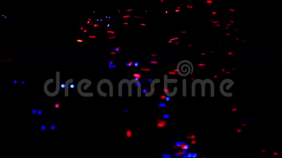 光粒子视频的预览图