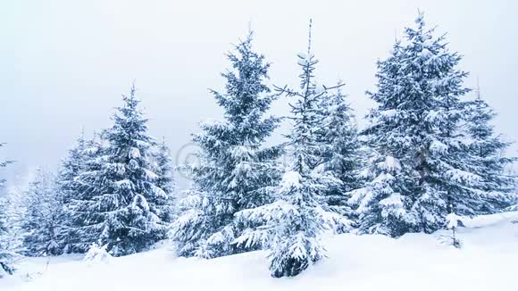 美丽的冬季景观视频的预览图