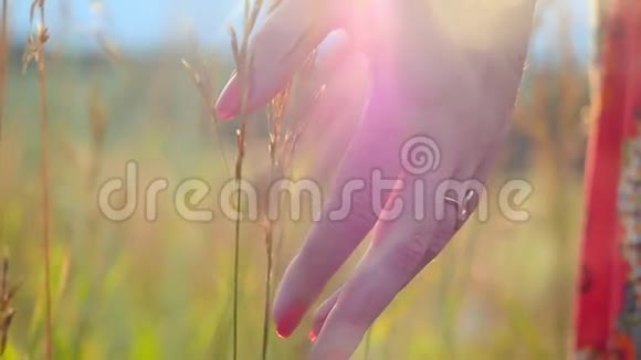 女人在田野里漫步用阳光抚摸草地视频的预览图