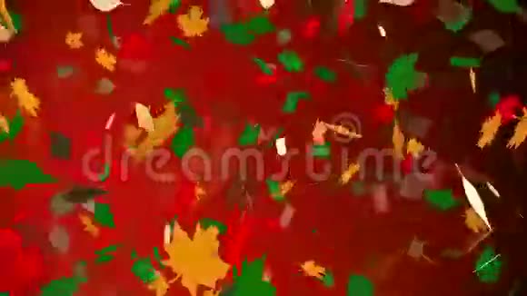 抽象的秋叶视频的预览图