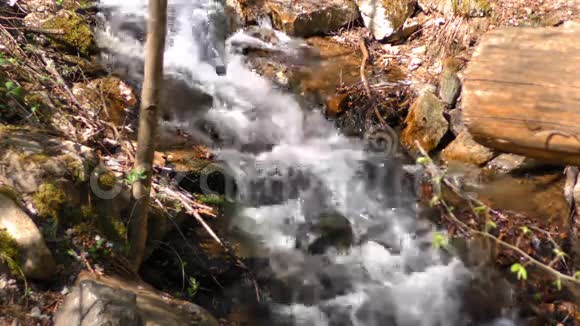 大自然中的瀑布溪视频的预览图