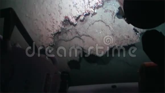 哥斯达黎加科科斯岛太平洋海底潜水视频的预览图