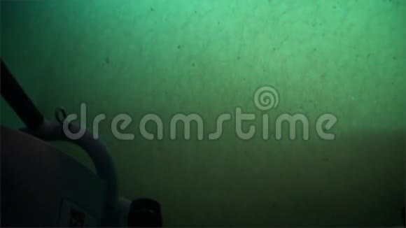 太平洋海底海底独特的海底拍摄视频的预览图