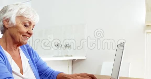 快乐成熟的女人用笔记本电脑视频的预览图