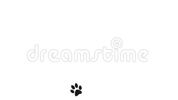 爪子印着动物在白色空间的框架上行走视频的预览图