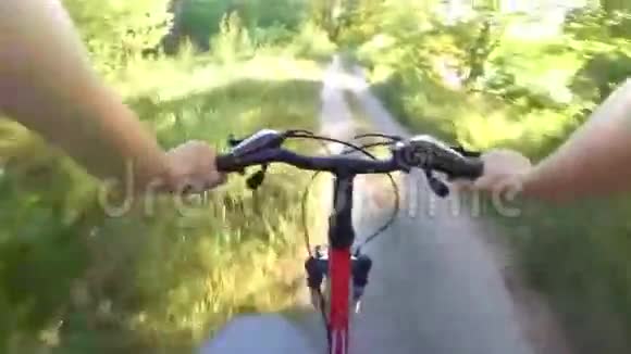 在森林里骑自行车视频的预览图